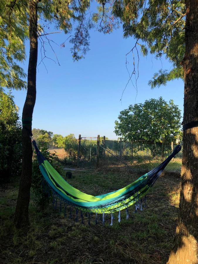 Refugio Rural - Eco Villa Caldas Da Rainha Dış mekan fotoğraf